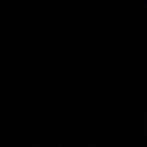 Meet your Posher, Sierra